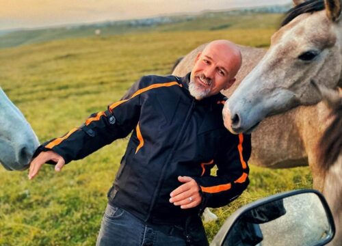 Izlet do divljih konja u trajanju između 3:30 i 4 sata