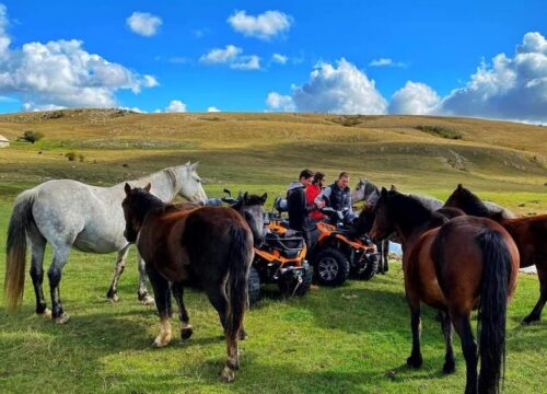 Izlet do “Divljih Konja” sa vodičem  2:30 do 3h