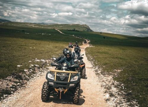 Izlet sa vodičem u trajanju od 2 do 2:30 sata